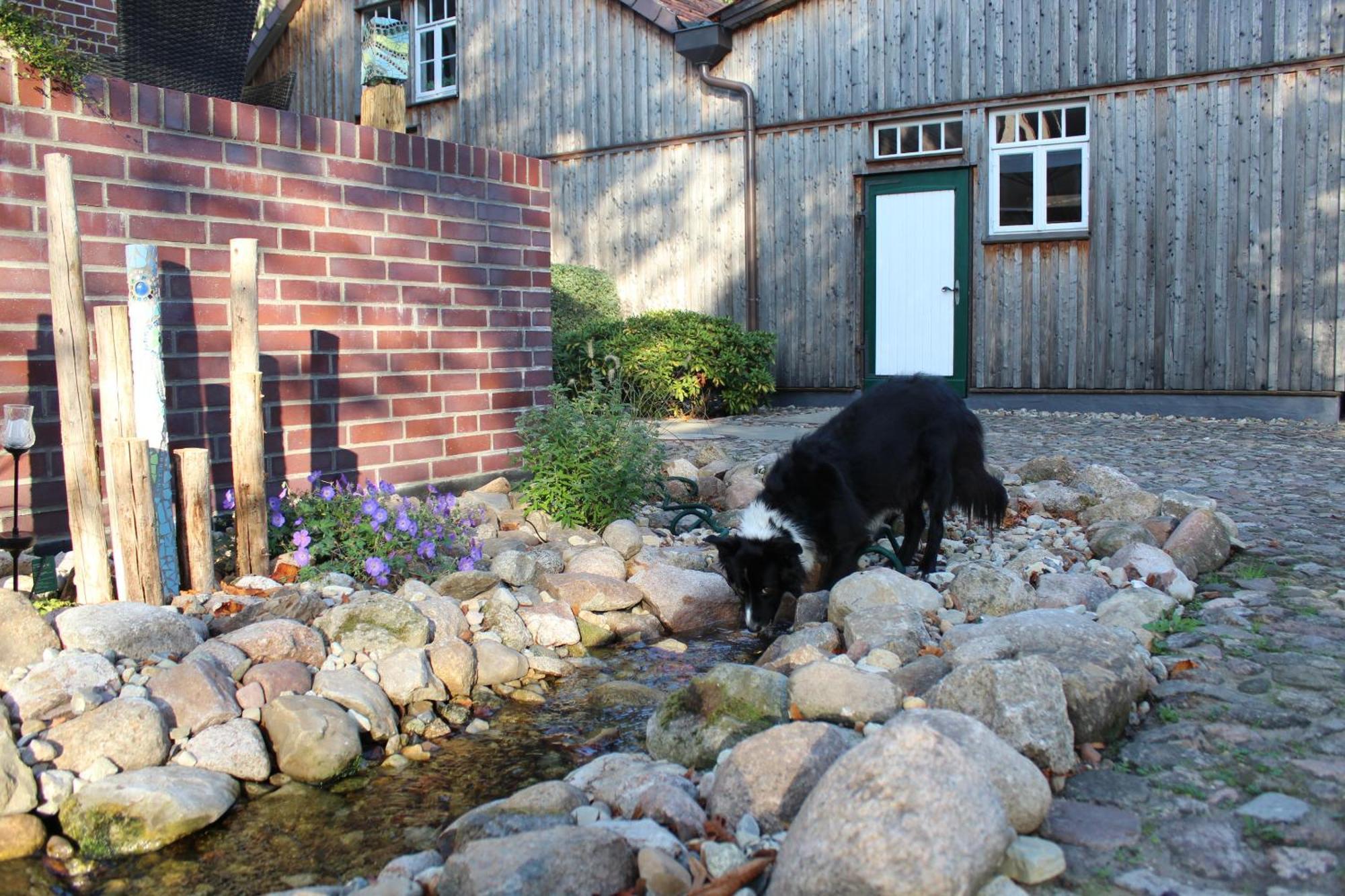 Landgasthof Wildwasser Wolthausen Екстер'єр фото